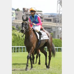 昨夏の小倉で五百万勝ち