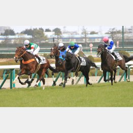新馬戦がセンス十分