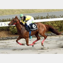 伏竜Sは完勝