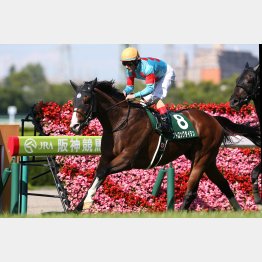 鳴尾記念をレコード勝ち
