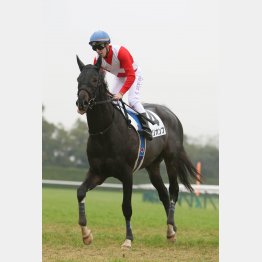 小倉重賞2冠を狙う