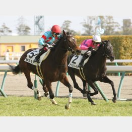 デビュー戦を完勝