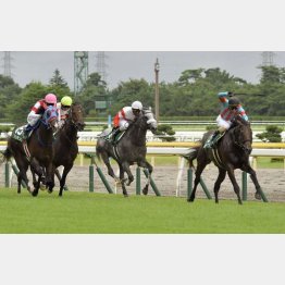 昨年は7番人気マルターズアポジーが逃げ切った
