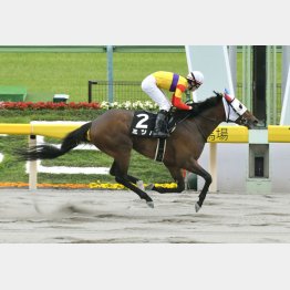 松山で昨年のブリリアントS勝ち