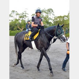 1週前追い切りは田中剛師が自ら騎乗