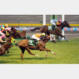 10年は両タイプの穴馬が……