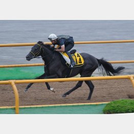 終始、軽快な動き