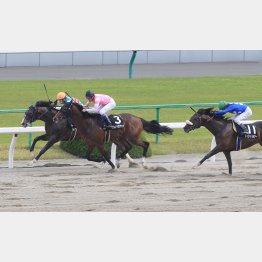 初ダートの桃山Sを圧勝
