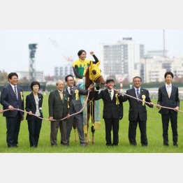 兄サウンドトゥルーはGⅠ馬