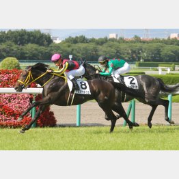 前走は上がり33秒2で差し切り