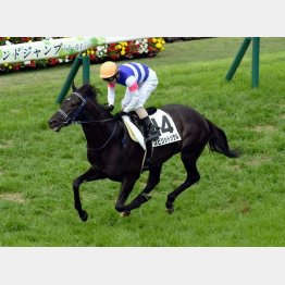 転厩初戦を勝利で飾った
