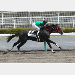 五百万勝ちはレコードだった