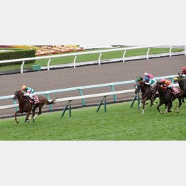16年はネオリアリズムが逃げ切り勝ち