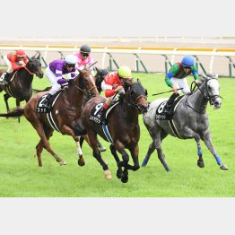 レッドラウダは連闘で勝利たが……