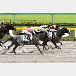 2走前は首差