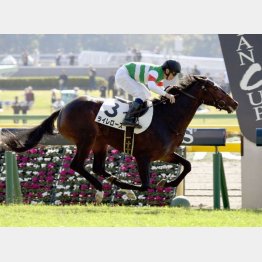 好メンバー相手に初勝利