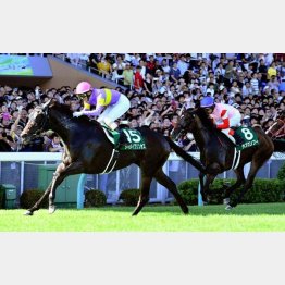 アイビスSDは初の古馬相手で②着