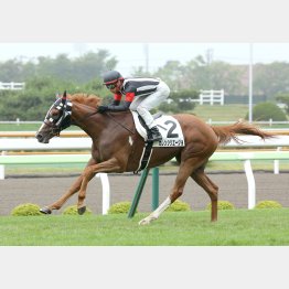 未勝利V時は完勝