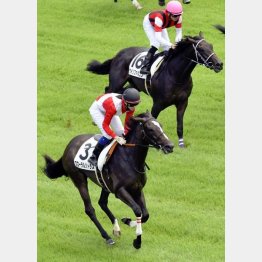 初勝利は千直