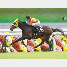 2歳時にオープン勝ち