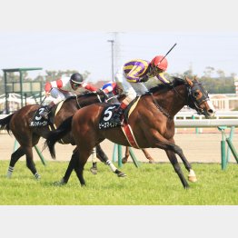 3月の五百万勝ちは強かった