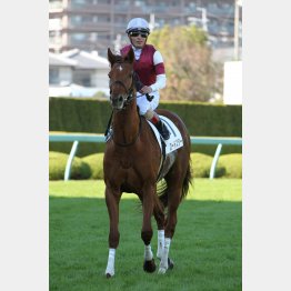 良馬場なら能力全開