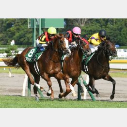 昨年は中京で新馬勝ちのフロンティアが連勝を決めた