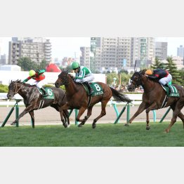 昨年は超ベテランのエポワスが勝利