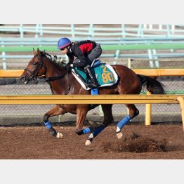 約3カ月ぶりも仕上がりきっちり