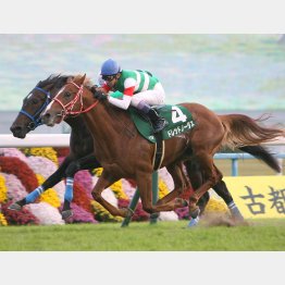 二千㍍の京都2歳S勝ち