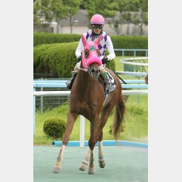 今度は結果を出す