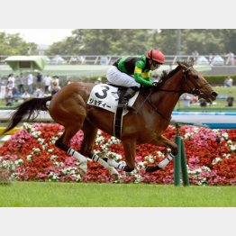 東京マイルでデビュー勝ち