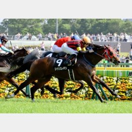 秩父特別を差し切り