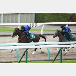 1馬身半ほど先着した(左)