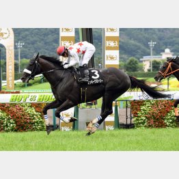 阿武隈Sは横綱相撲