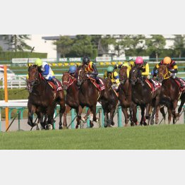 12年は③着に12番人気の牝馬が