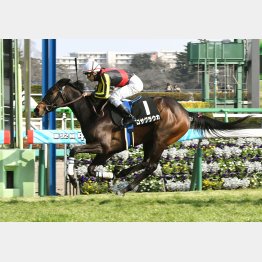 牡馬相手に水仙賞勝ち