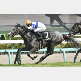 中山のアスター賞勝ち