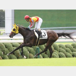 千八は新馬戦ででレコードを記録した距離