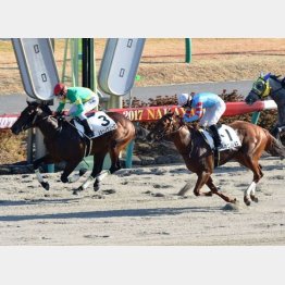 中山千二で五百万勝ち