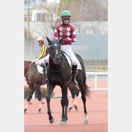 距離延長もプラス