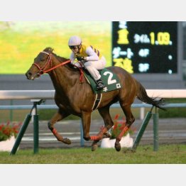 一昨年の京阪杯は4馬身差V