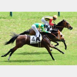 前々走の首差②着できっかけを掴んだ