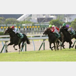 激流の北九州記念でも③着と粘り込んだ