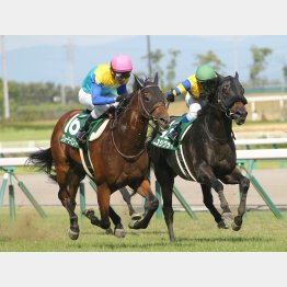 中京記念のレートは勝ち馬よりも上
