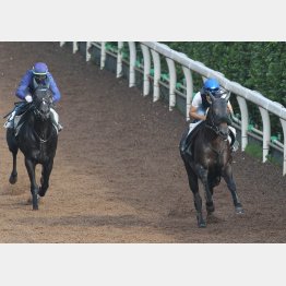 今週の坂路では楽々と2馬身先着