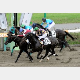 中山千二で五百万V