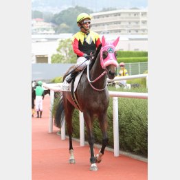 ハンデ54㌔ならチャンスあり