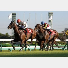 昨年は上がり馬ミッキースワロー、皐月賞馬アルアインで決着
