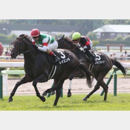 松前特別は2馬身差